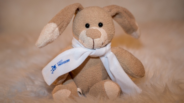 Hase