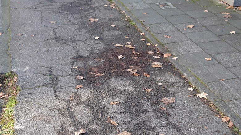 Radweg Radweg